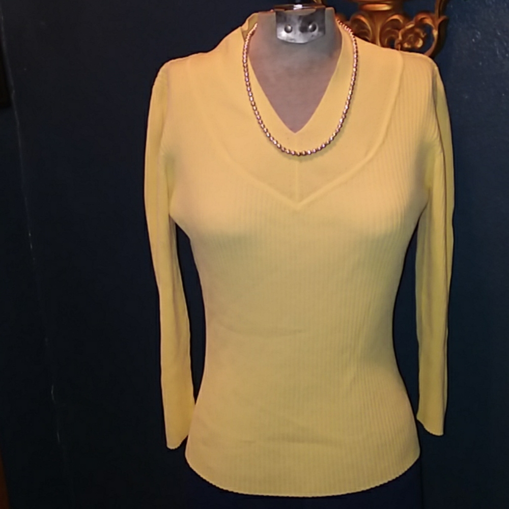 🎈Vibrant V-Neck